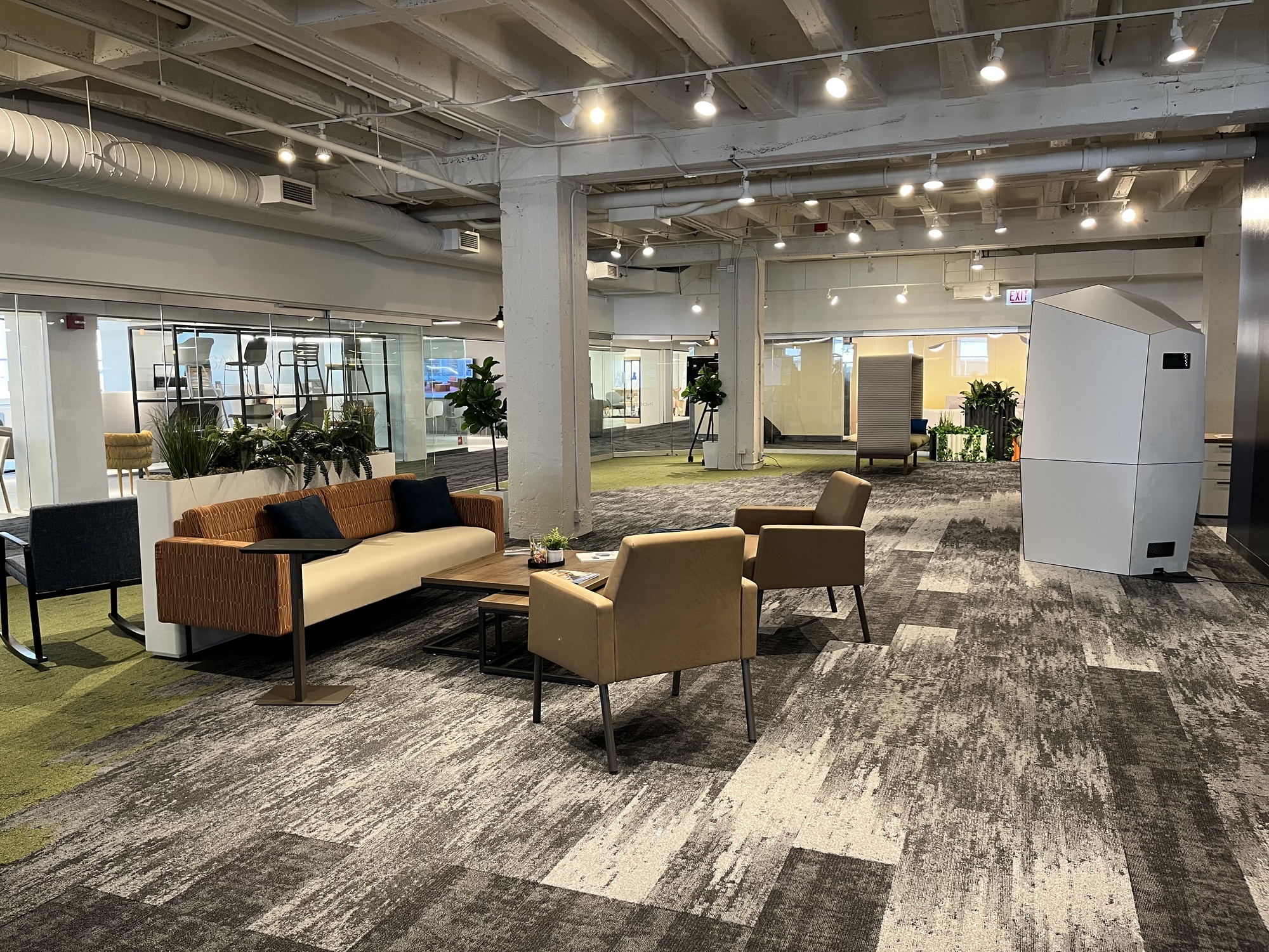 絨毯・カーペット